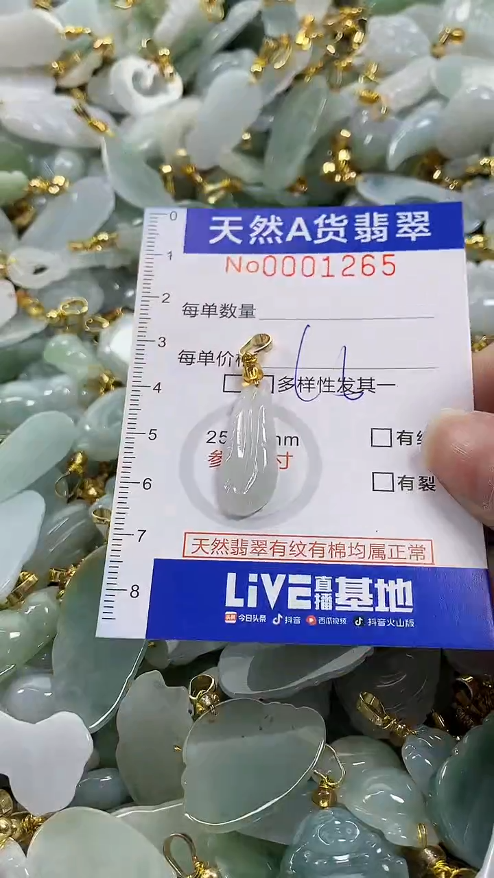 颈饰未镶嵌翡翠纯天然货翡翠
