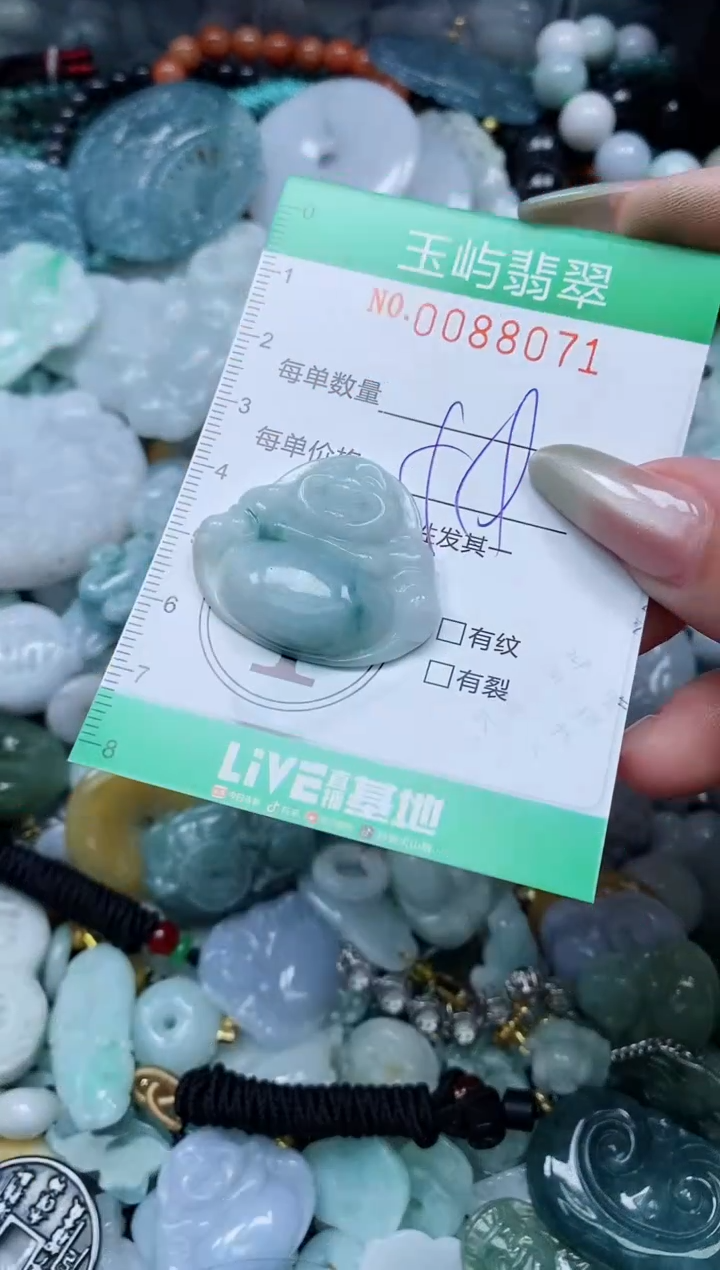 【闪购商品】翡翠颈饰未镶嵌闪购0088071