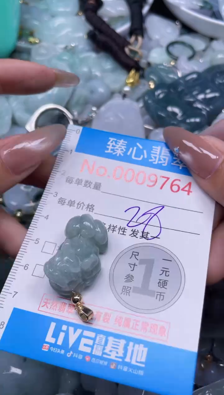 颈饰未镶嵌翡翠9764