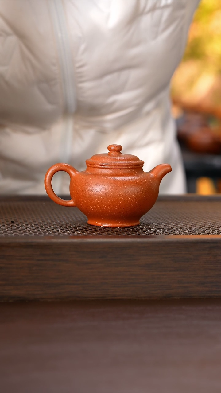 【闪购商品】紫砂茶壶原矿手工紫砂壶1把