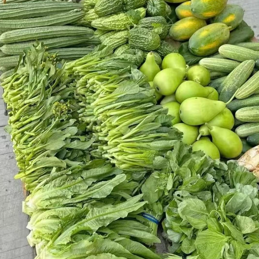 河池农家新鲜蔬菜组合（现场收货）产地直发麦菜