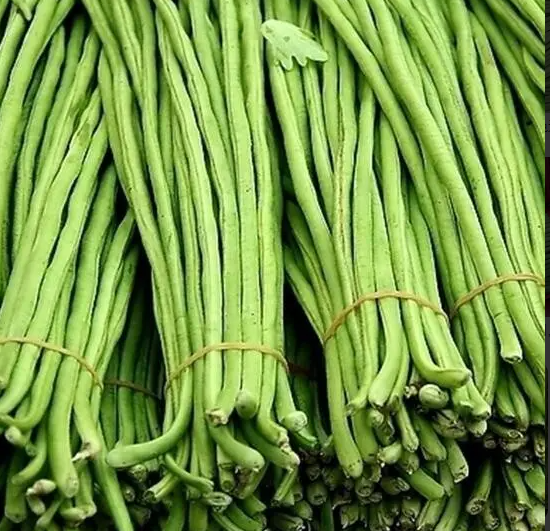 长豆角（一份约1.5斤） 1.5斤/份
