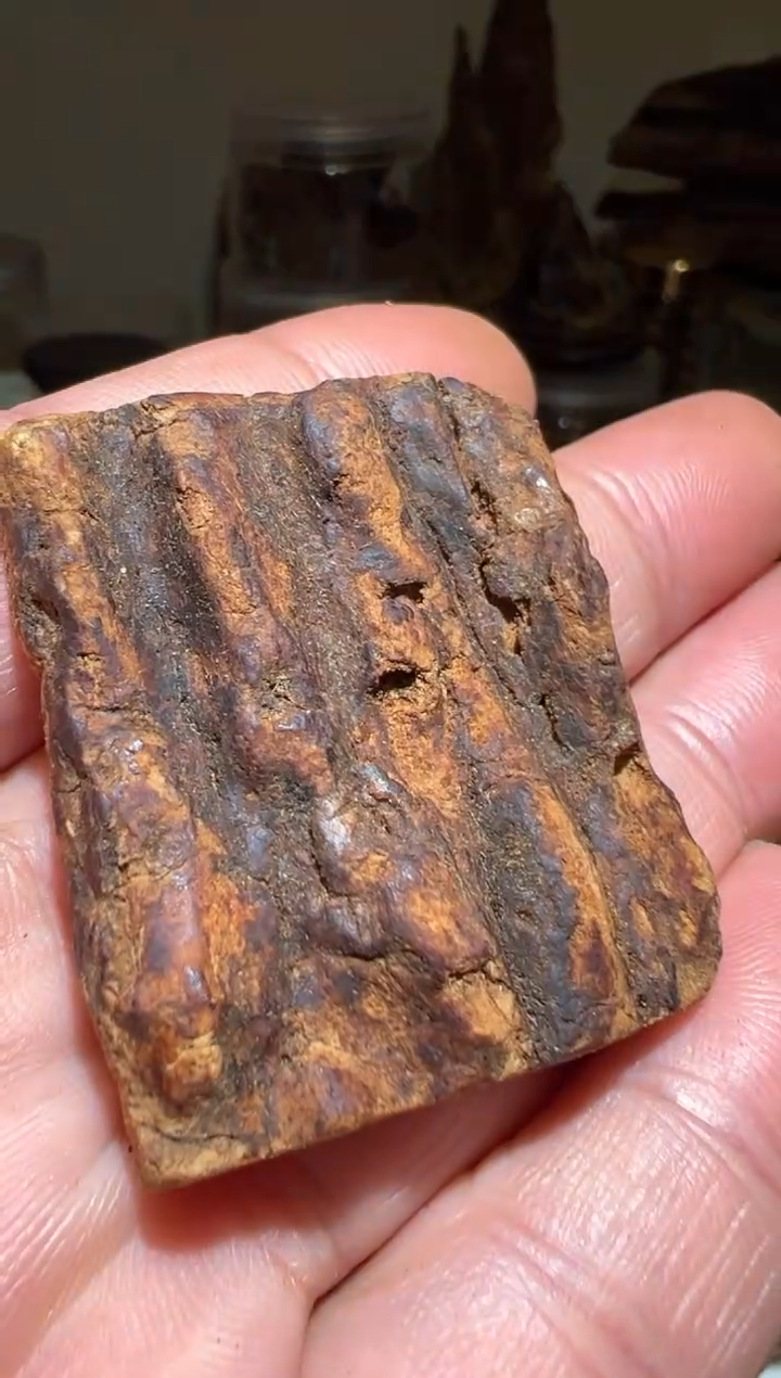 【闪购商品】沉香沉香碎屑斯里兰卡2.7克