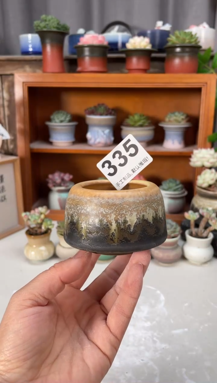 瓷片335小芳直播编号