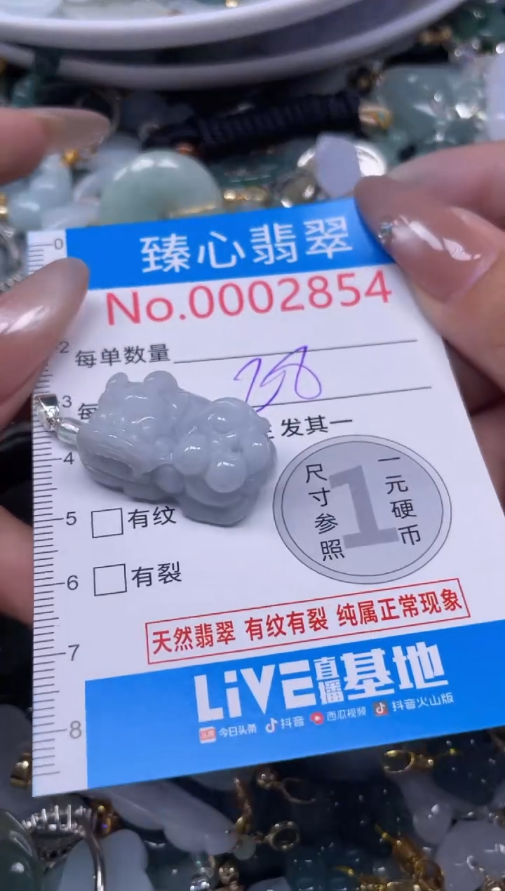 颈饰未镶嵌翡翠2854