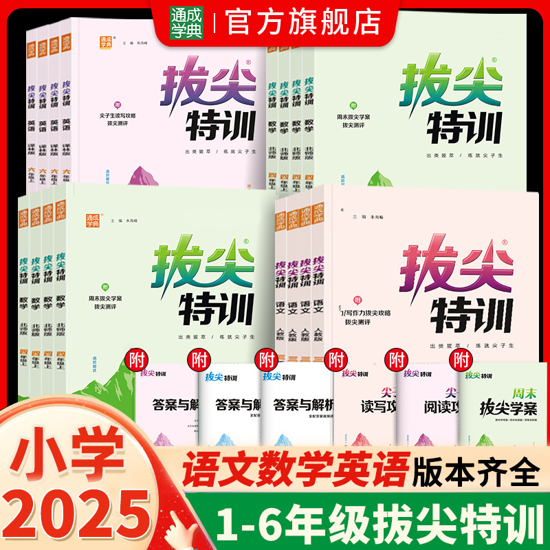 通成学典【拔尖特训】语数英教材同步专题训练提优必刷题课时练习