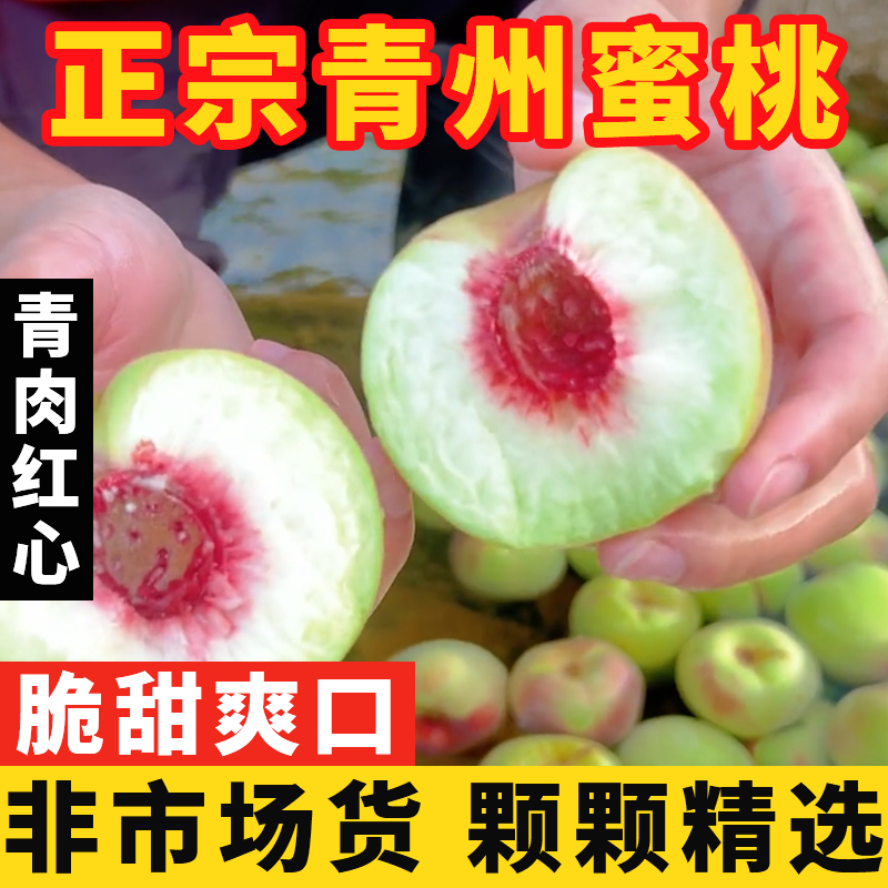 【颗颗精选】正宗山东青州蜜桃现摘脆甜青皮蜜桃应季新鲜水果孕妇