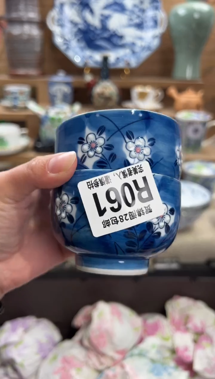 瓷片?**?       R061