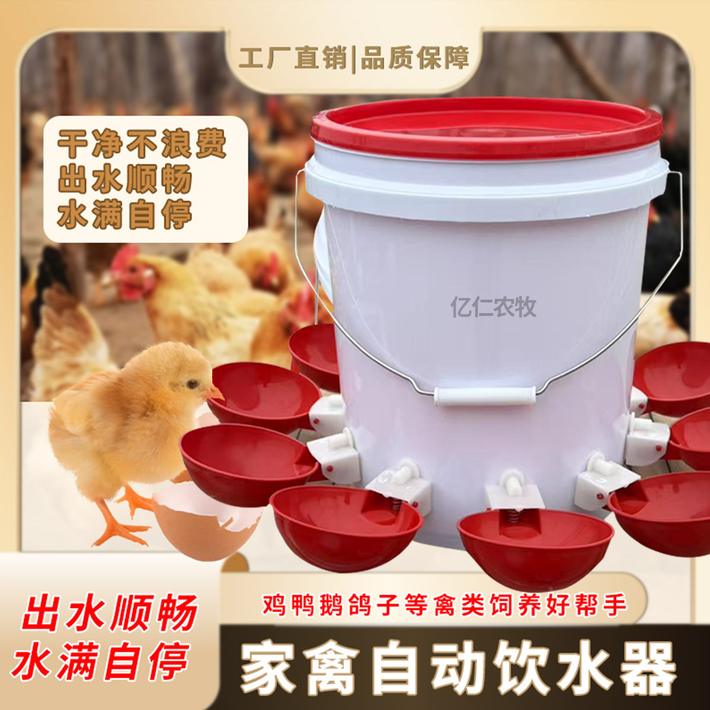 成年鸡鸭鹅自动饮水器鸡饮水碗鸭鹅鸡自动饮水桶鸡鸽子自动饮水碗