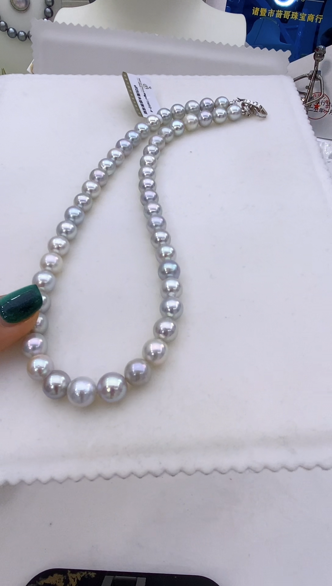 【闪购商品】海水珍珠项链未镶嵌100 8-10mm