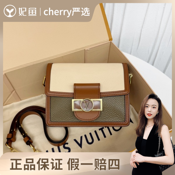 95新/路易威登/包包/250702CY0019