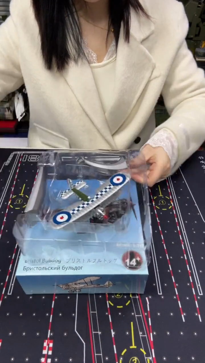 双城机翼斗牛犬模型