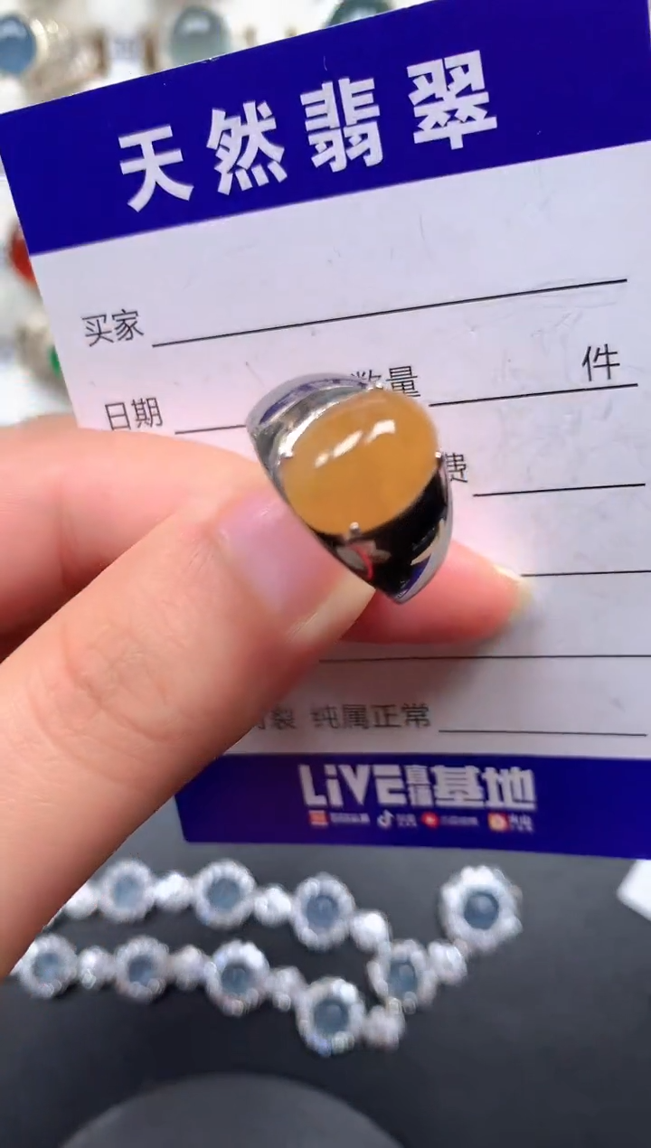 颈饰银S925镶嵌翡翠137