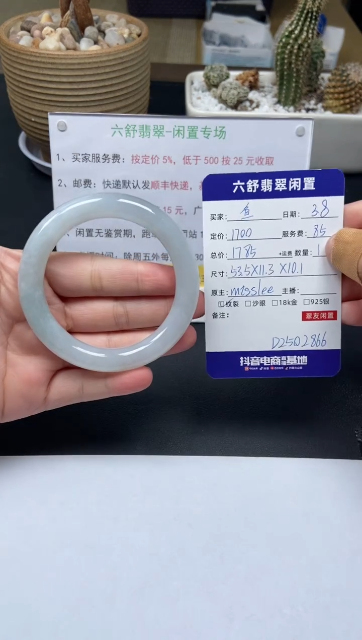 【闪购商品】翡翠手镯未镶嵌D2502866
