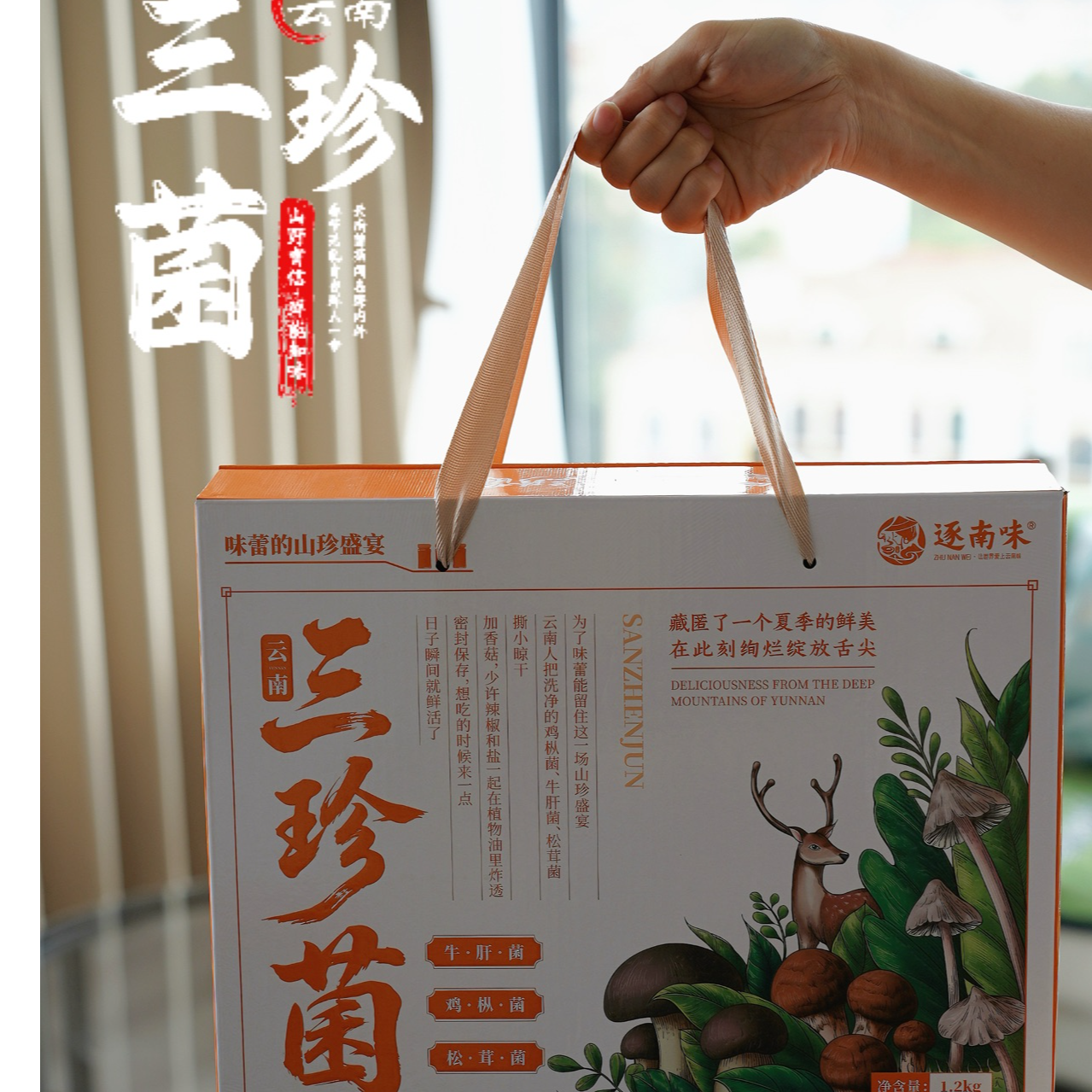 逐南味云南雨季三珍菌组合鸡枞+松茸+牛肝菌 油浸锁鲜 拌饭夹馍香