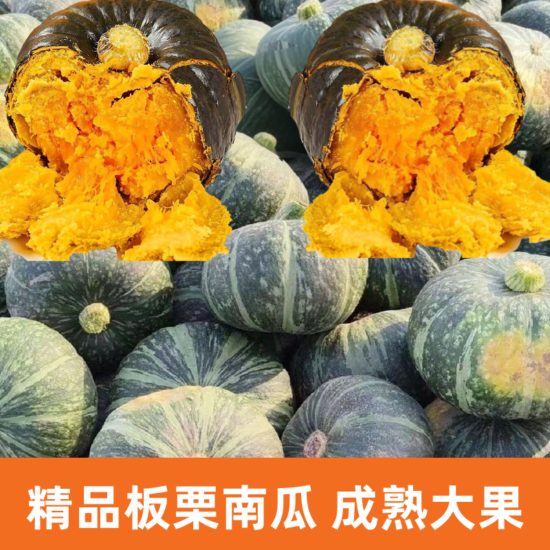 板栗南瓜粉糯香甜精品大果板栗南瓜