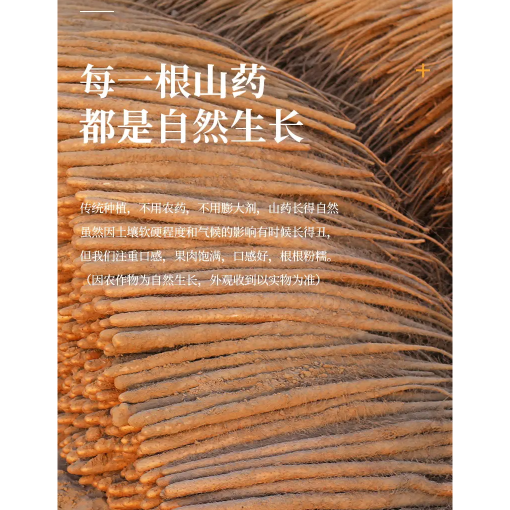 新鲜铁棍山药粉糯香【60-80厘米】