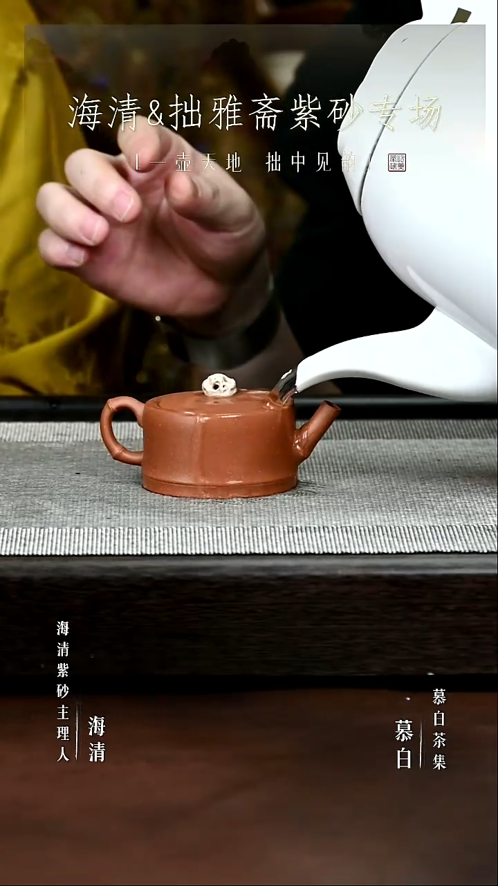 【慕白茶集】太湖石竹叶汉瓦壶
