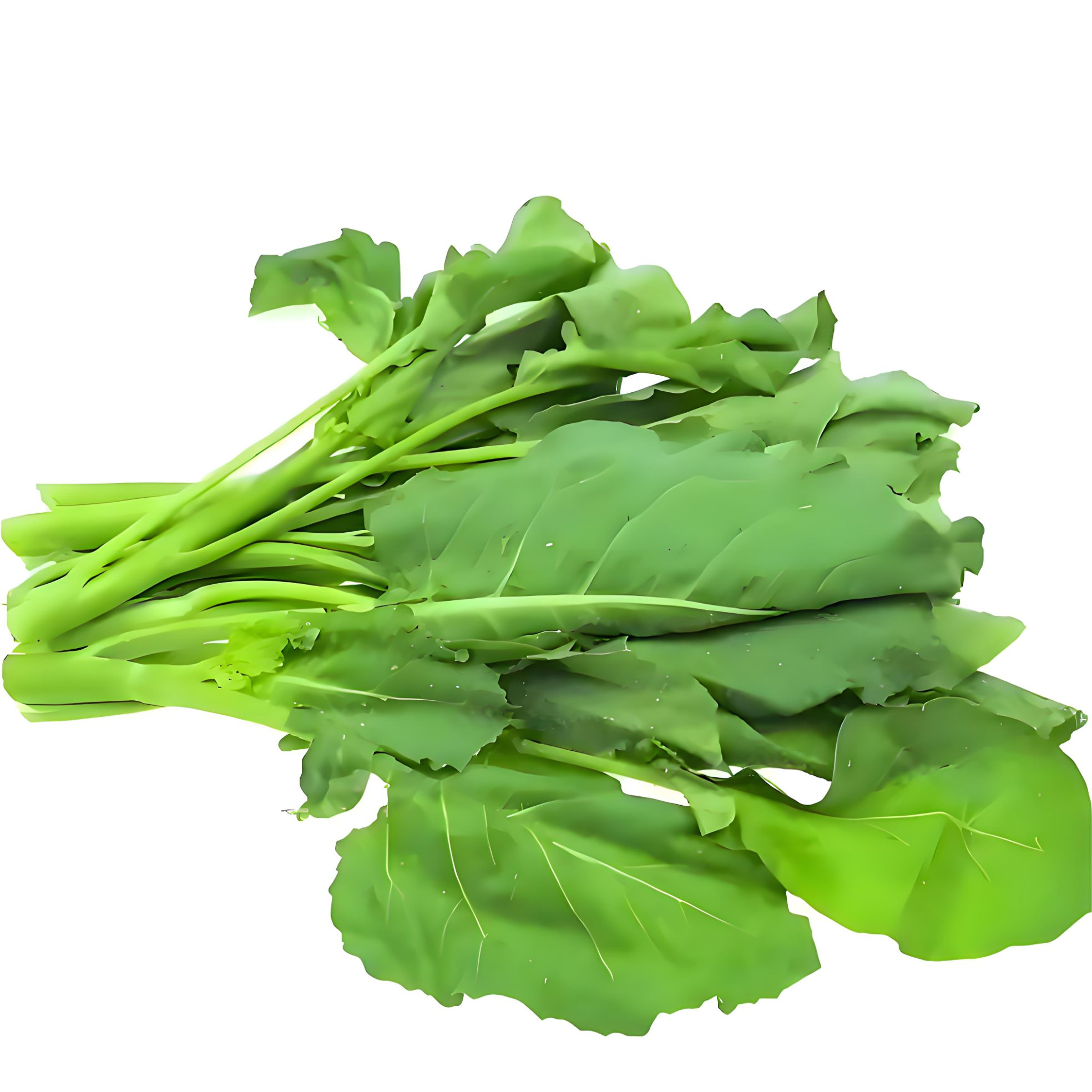 青油菜1份约500g