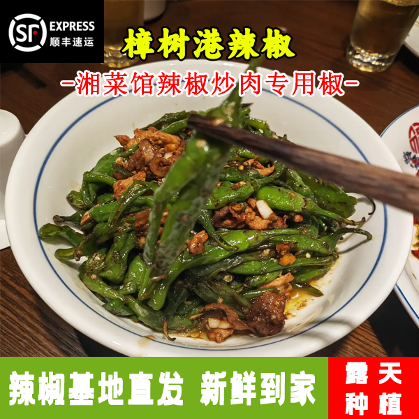 正宗湖南樟树港原种辣椒新鲜现摘皮清香爽嫩辣椒1-5斤装辣椒