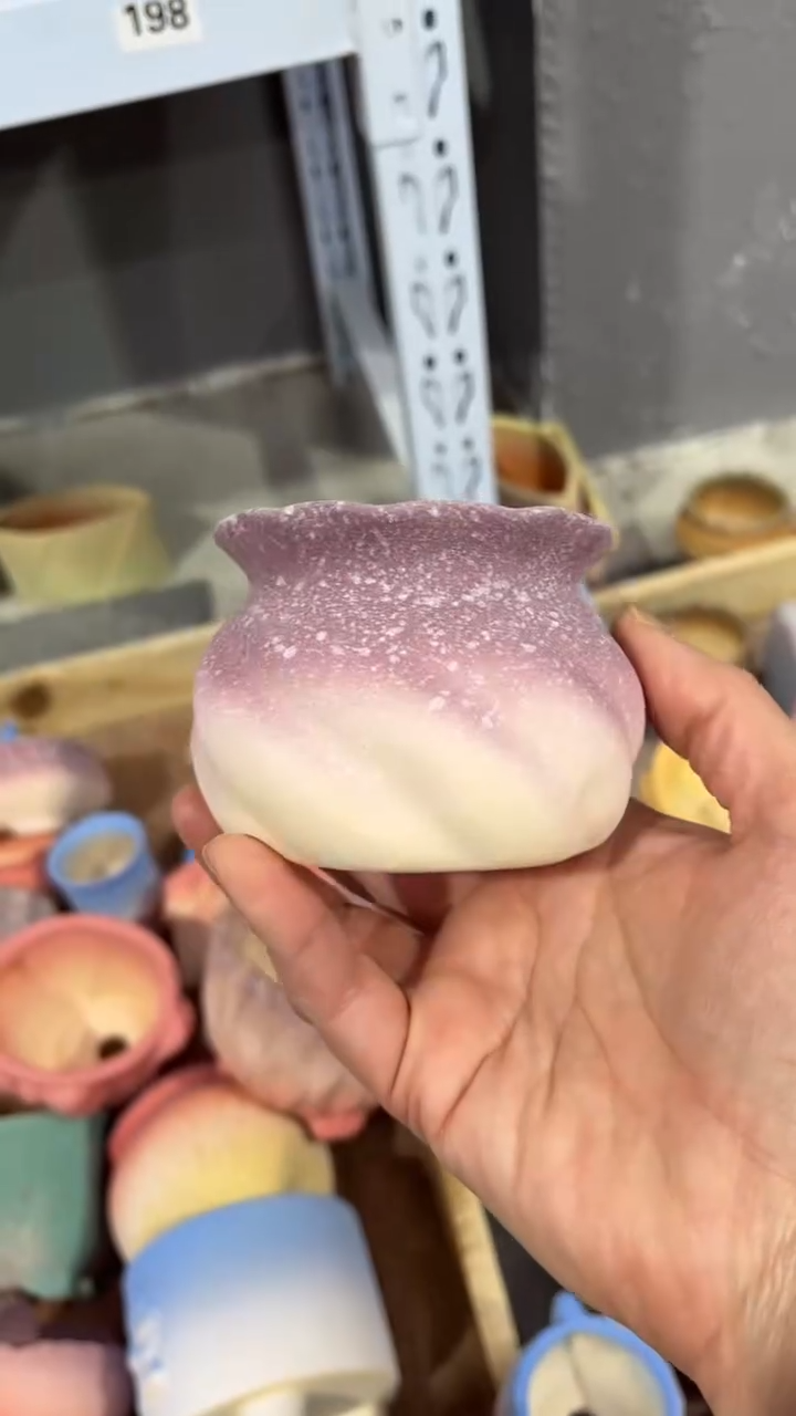 【闪购商品】陶内口  6  内高6