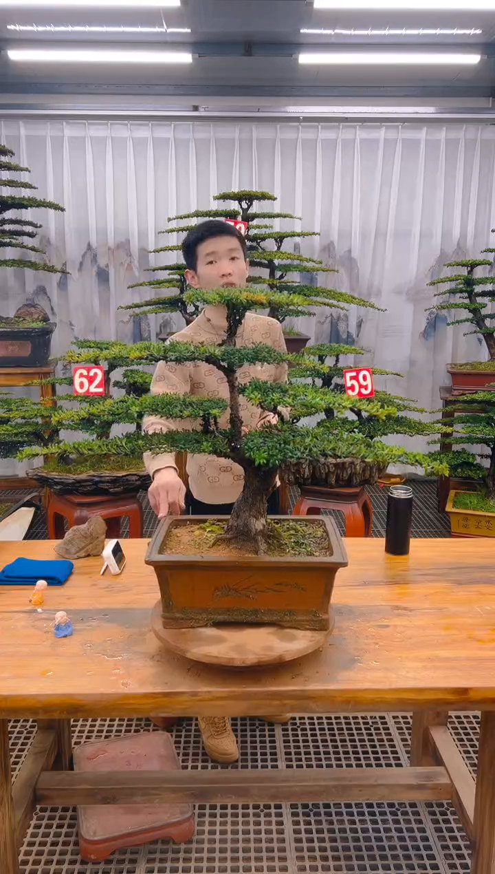 【闪购商品】紫砂精品盆景直播间一物一拍