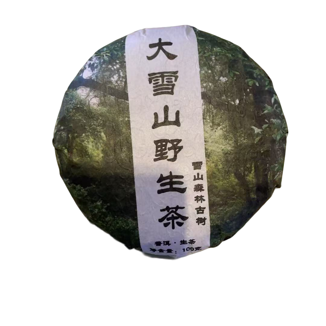 2024年 大雪山野茶 生茶 100克/饼 2月9日 【35号】