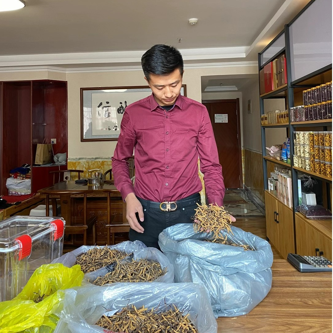 西藏那曲精选头期高海拔冬虫夏草高品质3根一克虫草王