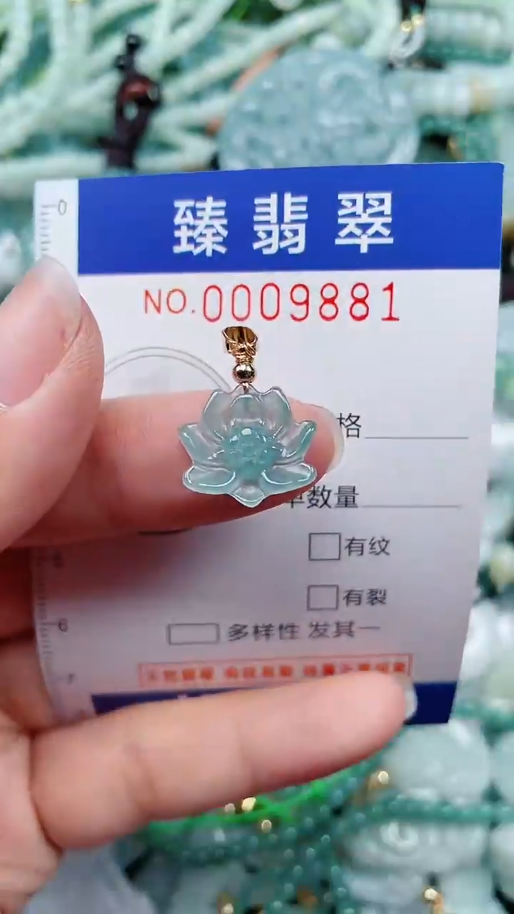 颈饰未镶嵌翡翠.0009881