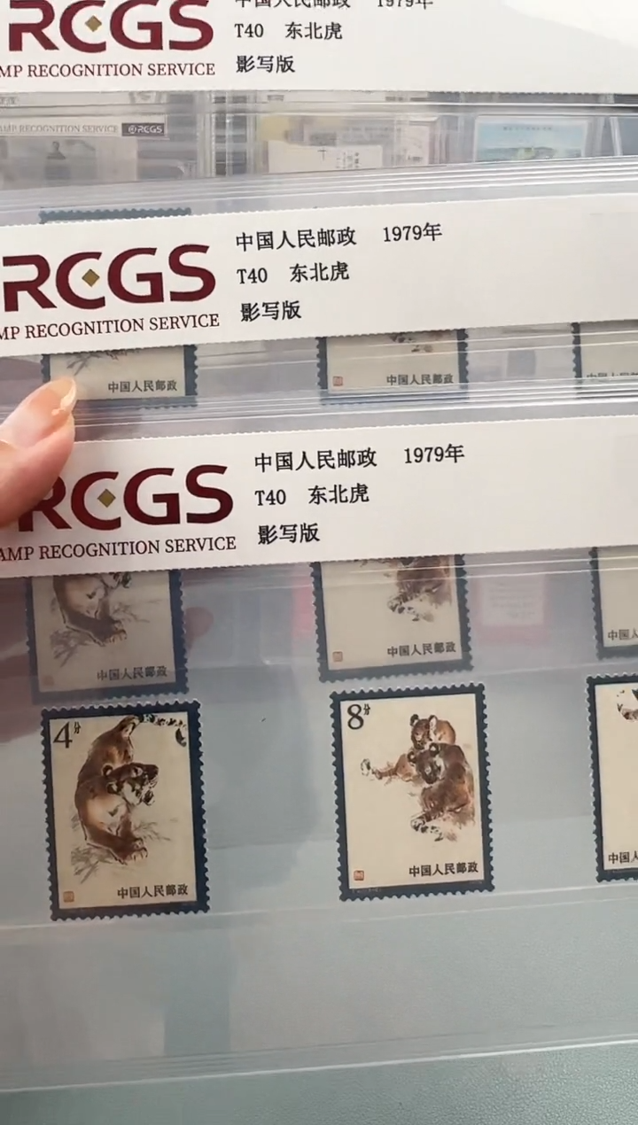 T40东北虎邮票套票