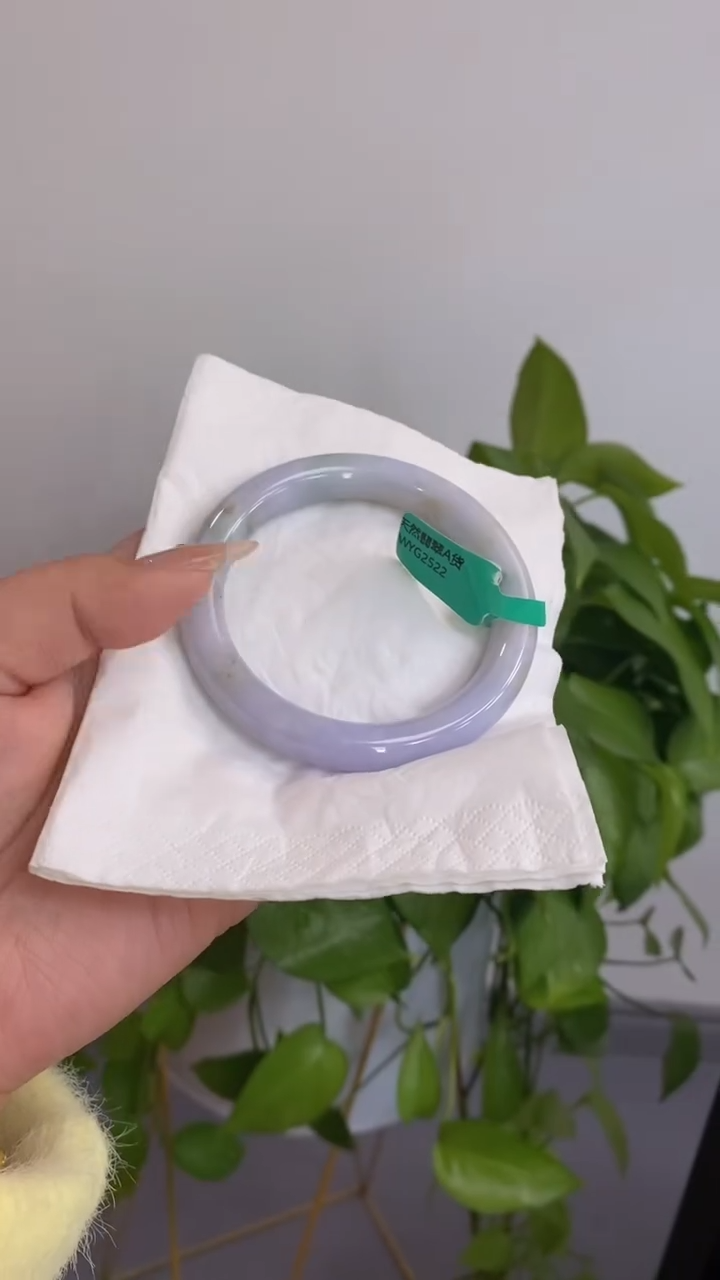 【闪购商品】翡翠手镯未镶嵌00003219