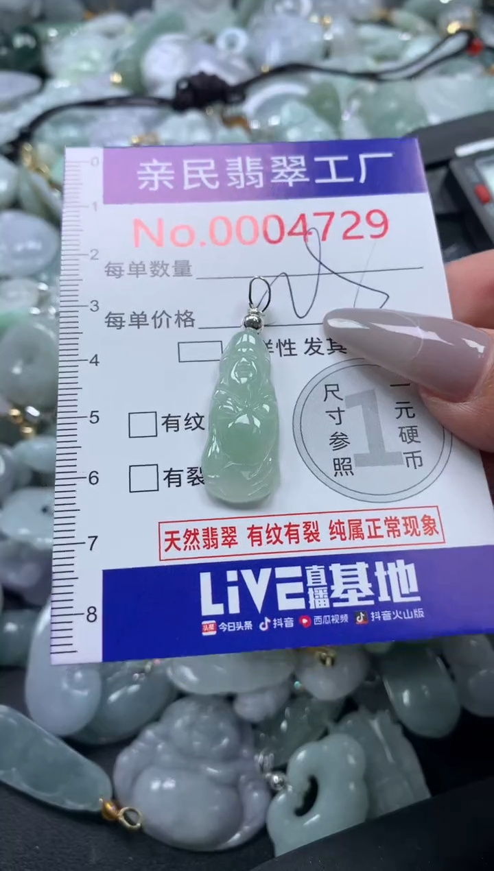 颈饰未镶嵌翡翠4729