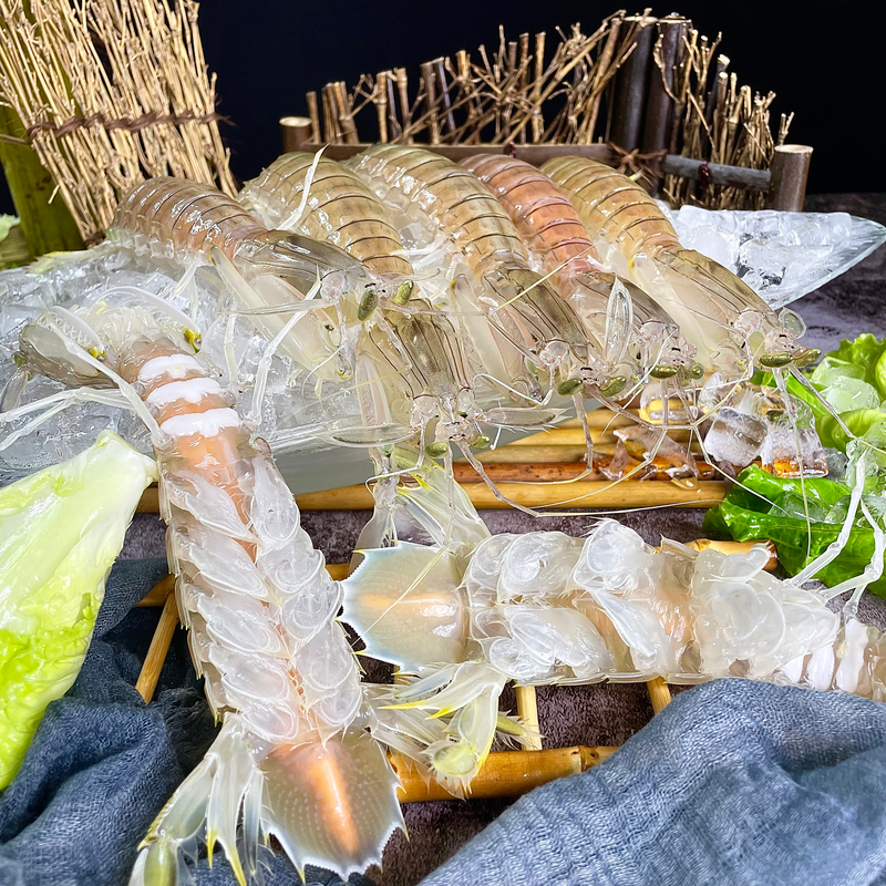 好1广西北海野生皮皮虾虾菇虾爬子富贵虾濑尿虾顺丰冷链空运发货