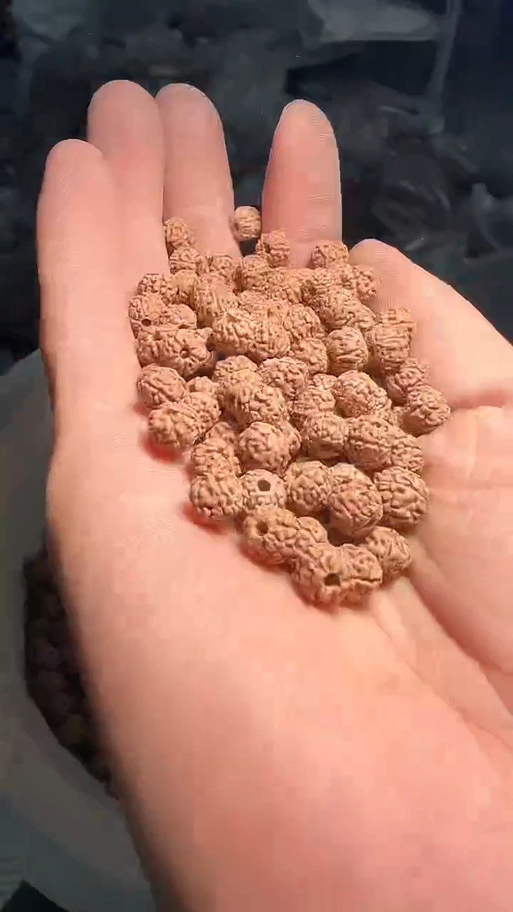 金刚菩提手串非全品原桩一代龙散籽6-7mm一份一百多颗+