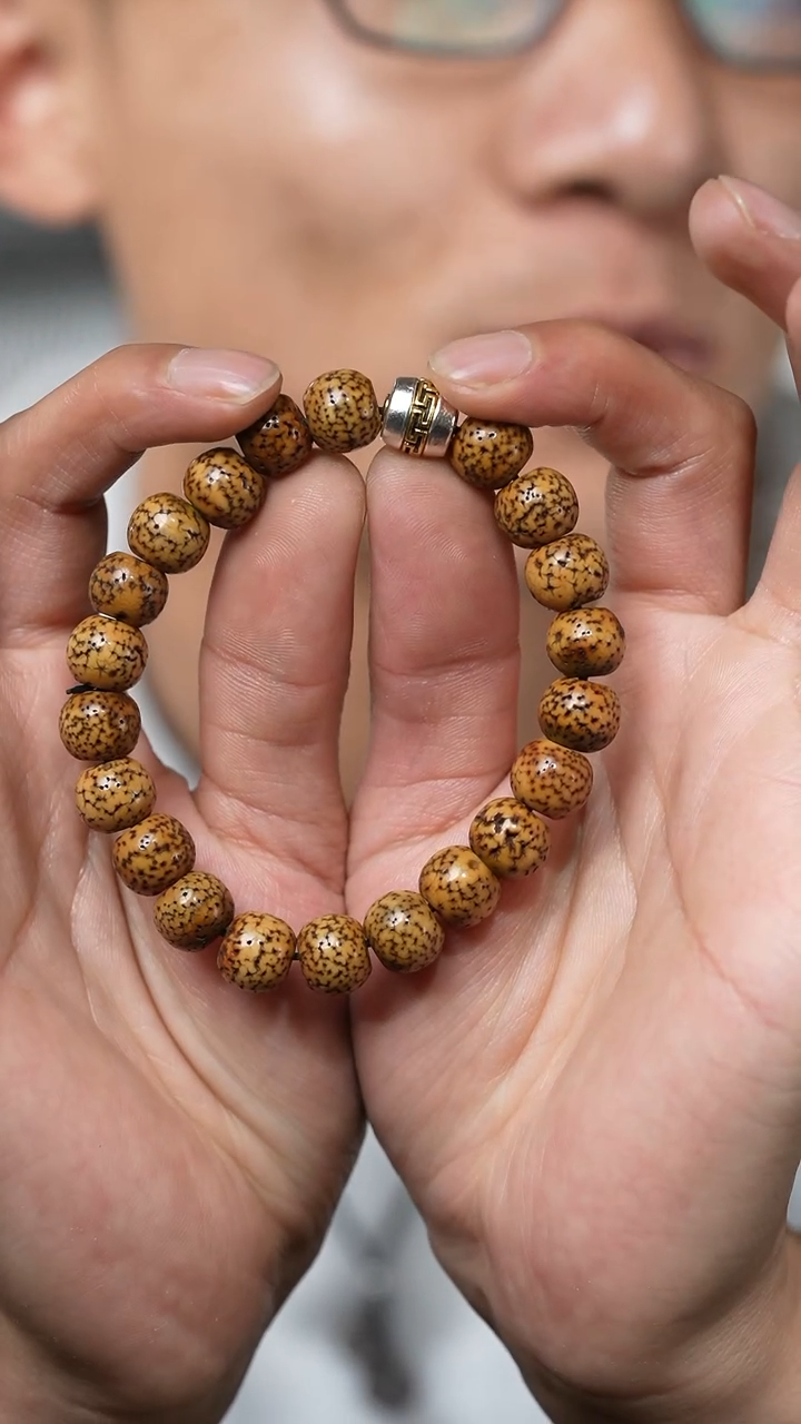 【闪购商品】星月菩提（多样性发货，发其一）