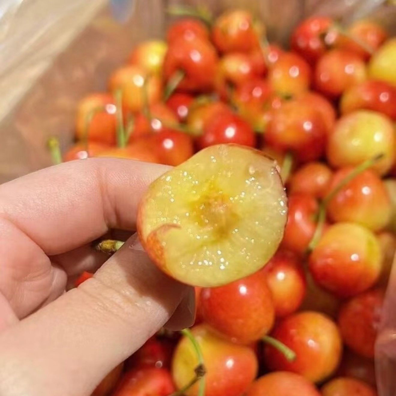 3J雷尼尔·空运吉制三藩市原版原箱4.4斤，内附果径卡