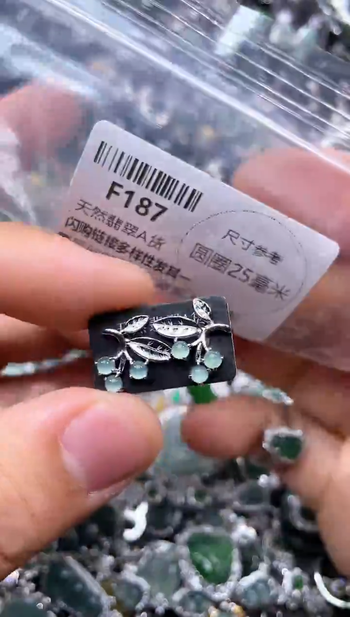 【闪购商品】翡翠未镶嵌颈饰F187耳钉