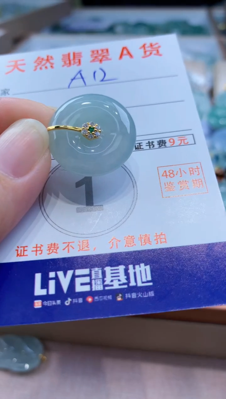 颈饰未镶嵌翡翠天然缅甸a货翡翠