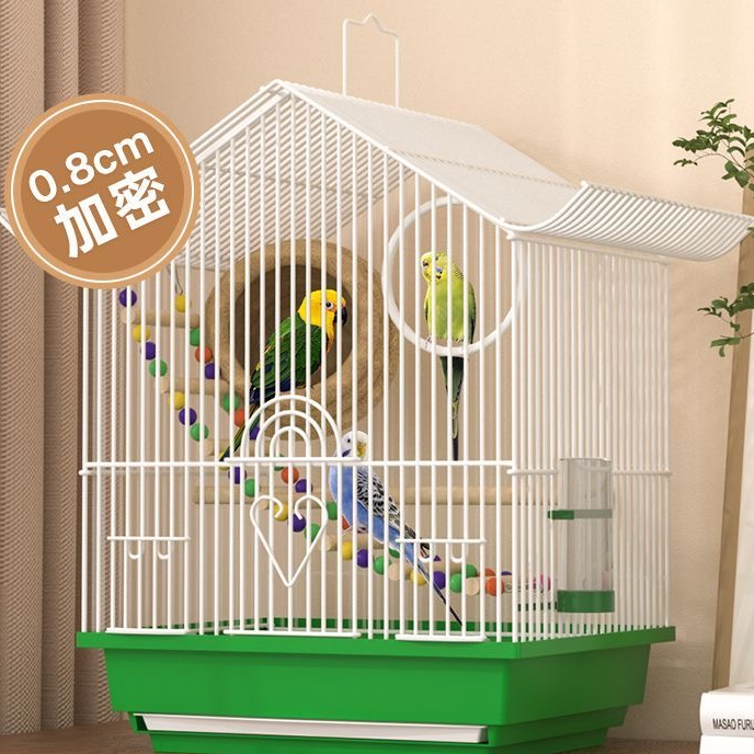 鹦鹉专用鸟笼新手必备大礼包C