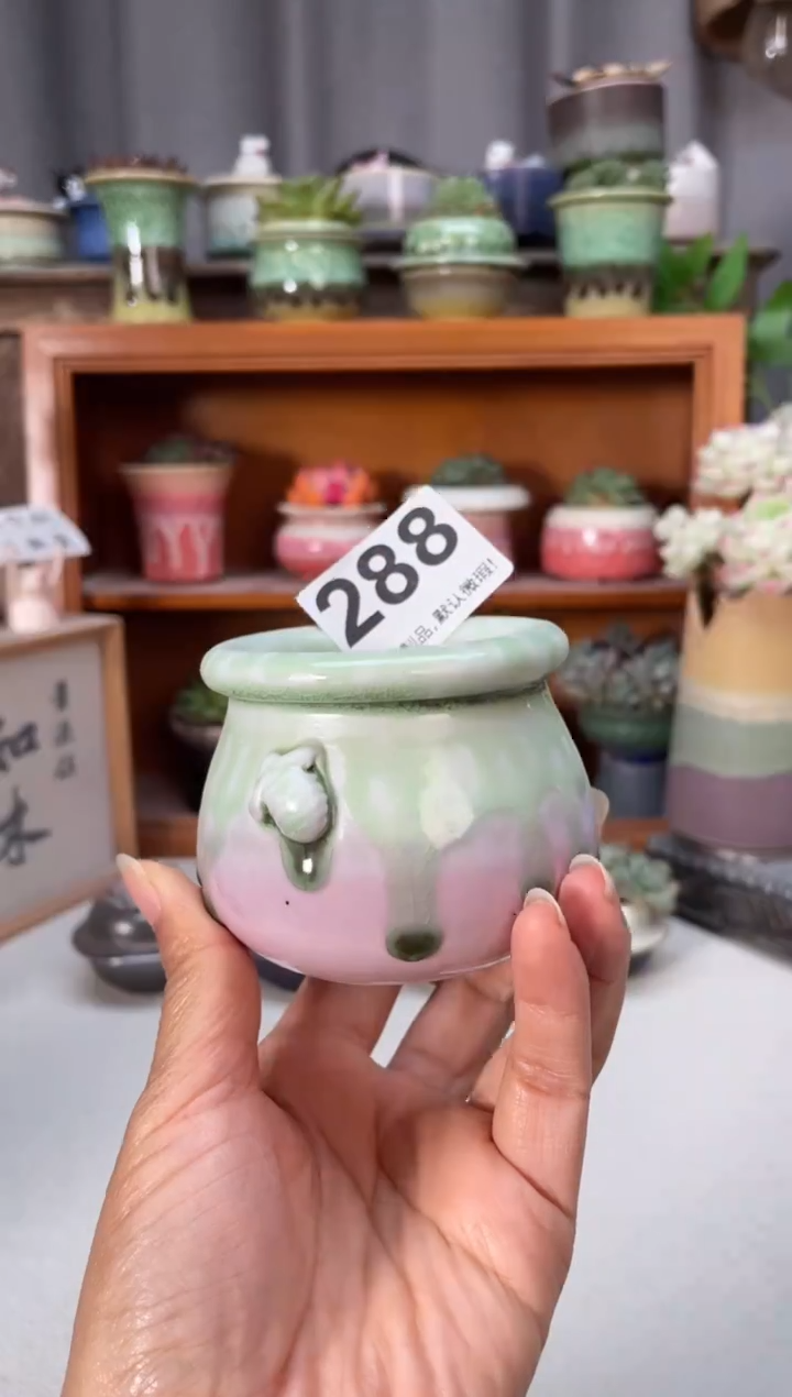 瓷片288知木小芳花盆