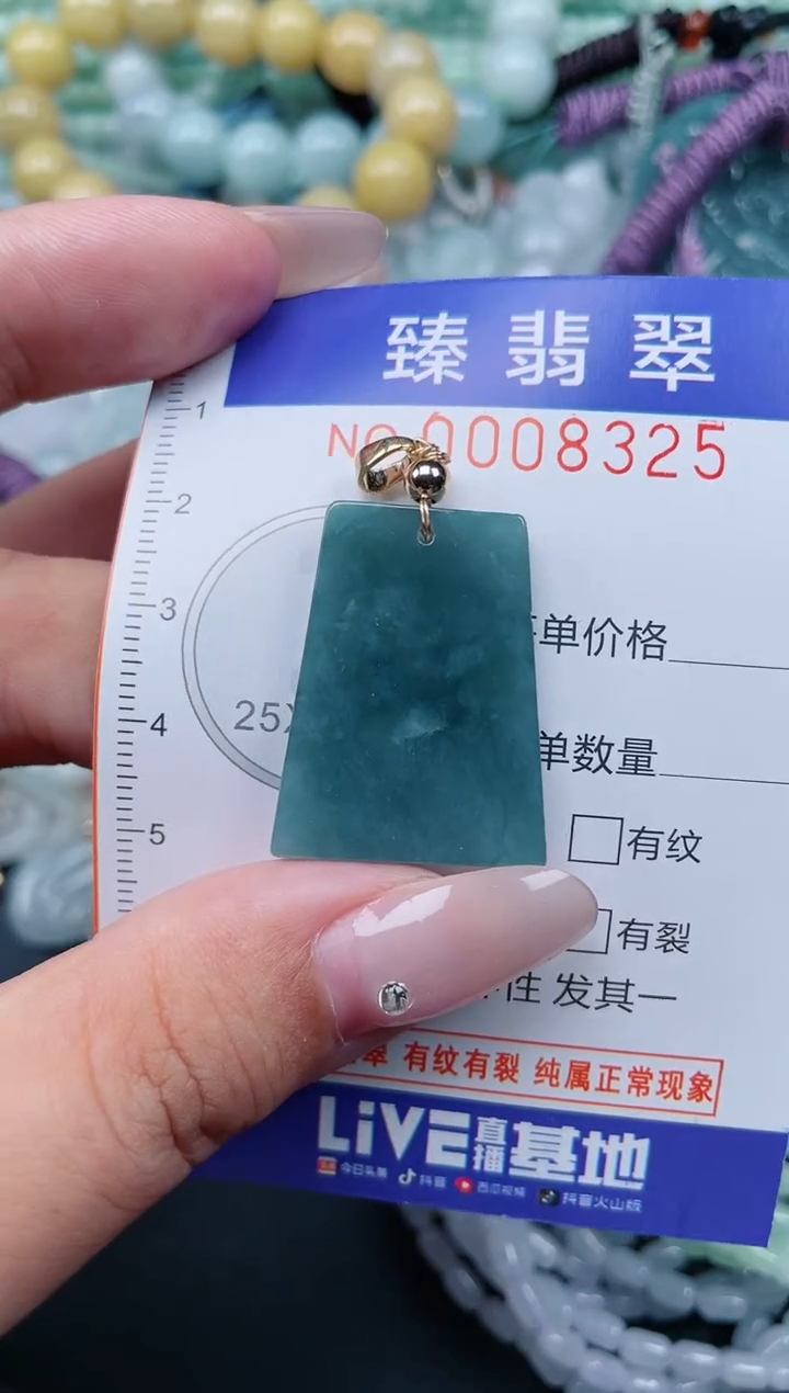 翡翠未镶嵌颈饰.0008325