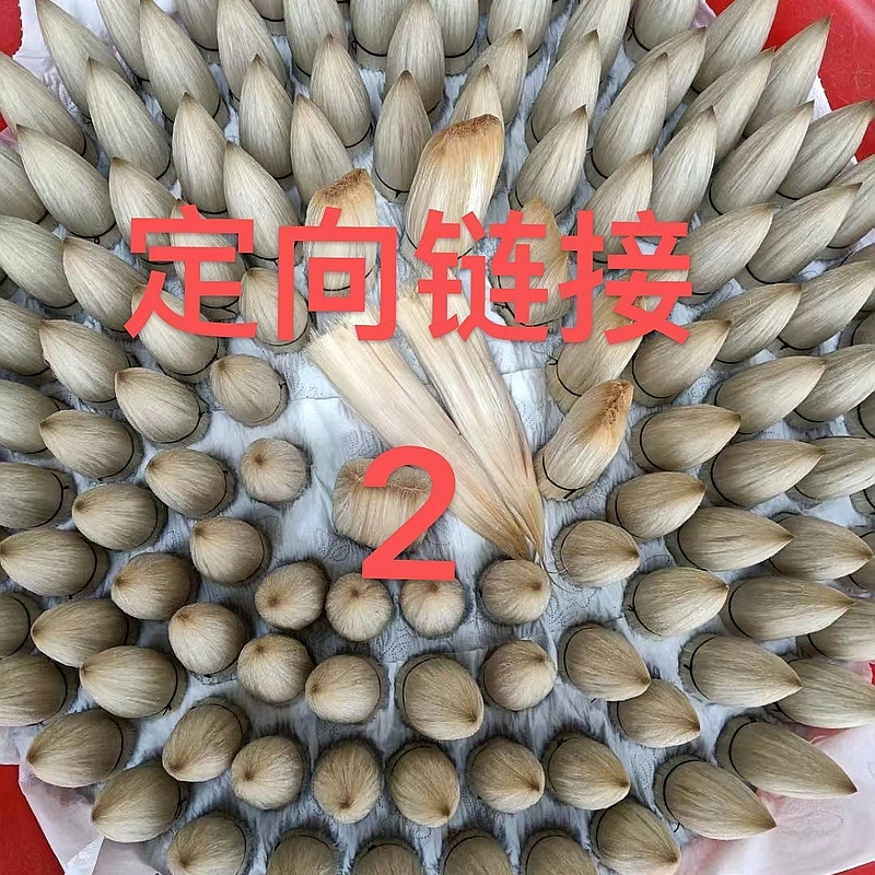 【定向链接】2号链接老毛笔