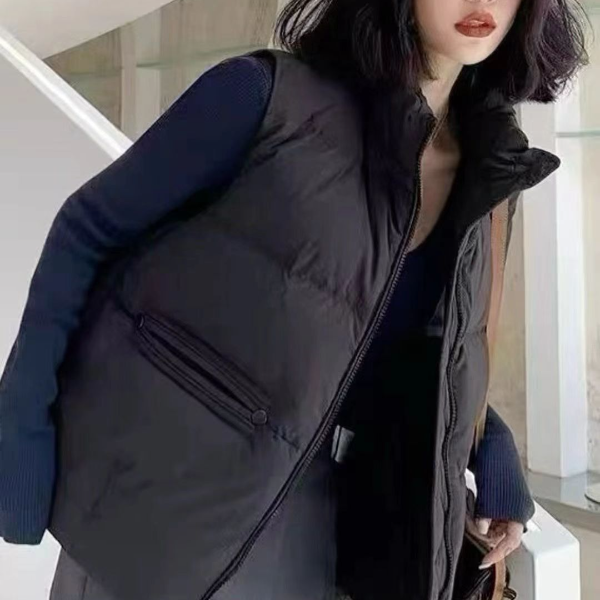 2025新款百搭时尚羽.马甲女韩版立领文艺复古甜美显瘦背心111