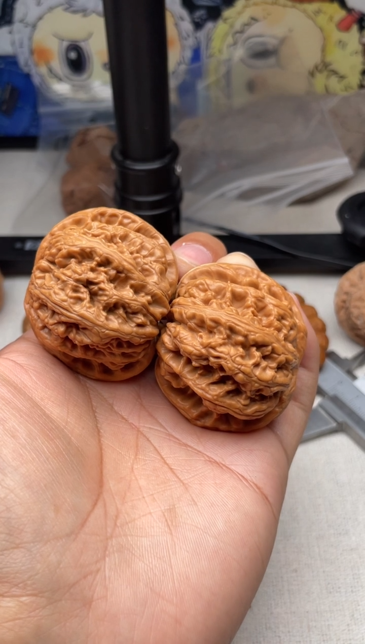 把件文玩核桃H*／1209-HE-粗筋