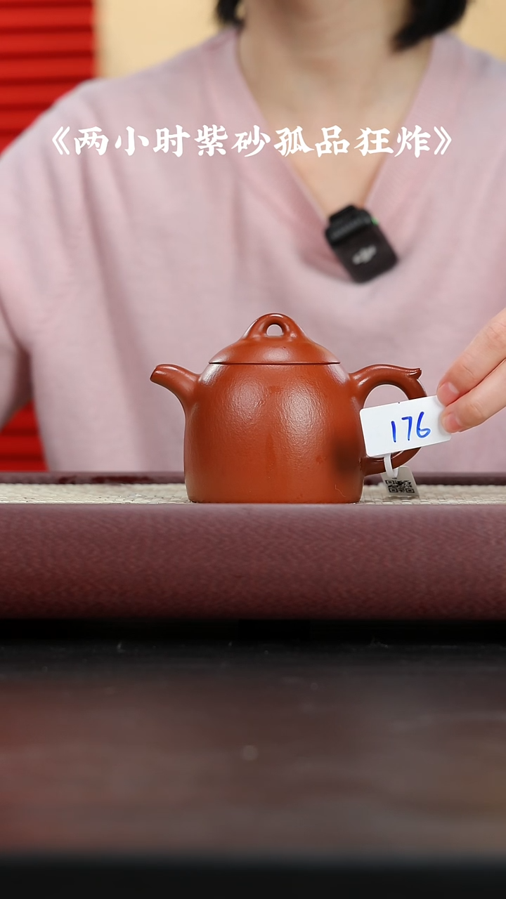 【闪购商品】紫砂茶壶孤品专区 预估220cc 176