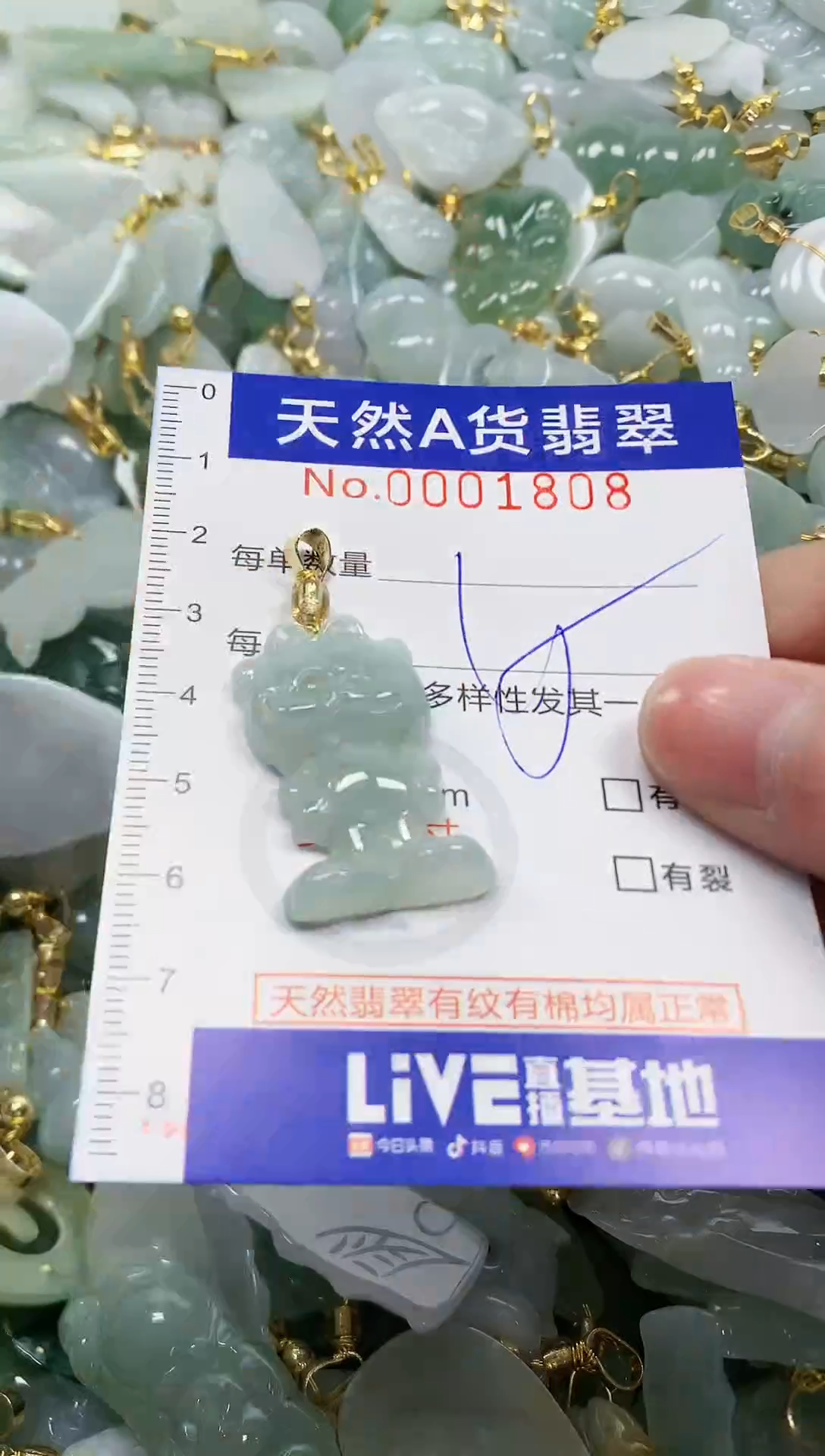 颈饰未镶嵌翡翠纯天然a货翡翠