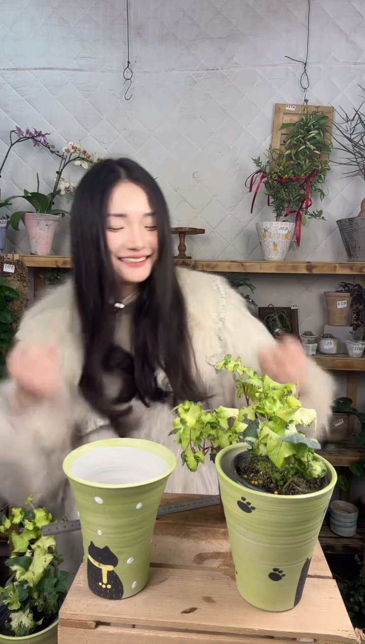 无花朵618月光灯加盆一套