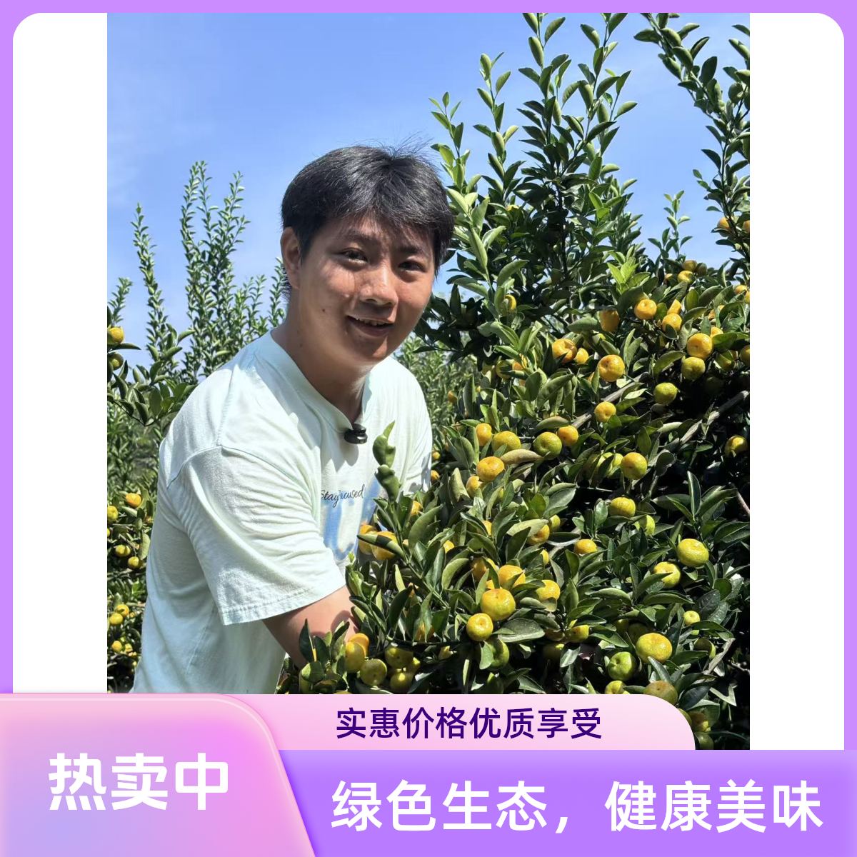 南丰蜜桔杨小二六芽变桂月红早熟小小橘子酸现采现发原产地直发