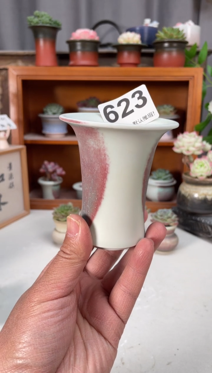 瓷片623小芳直播编号