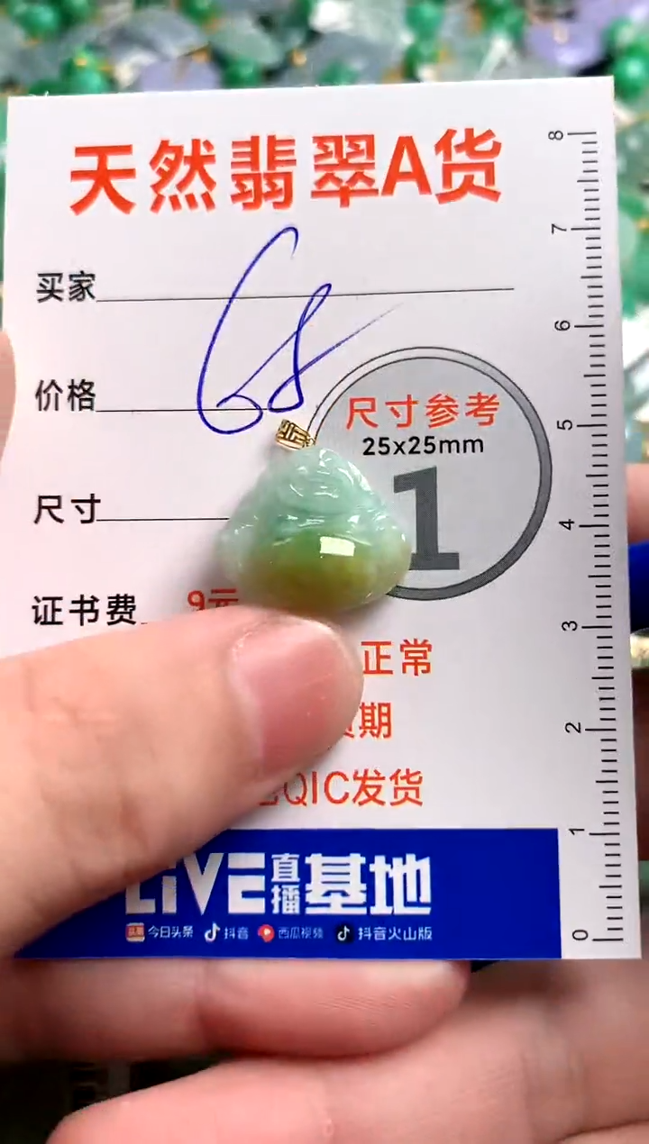 【闪购商品】翡翠颈饰18K金镶嵌13003787